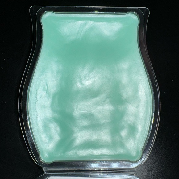 Scentsy Jade & Jasmine Wax Bar - Picture 4 of 4